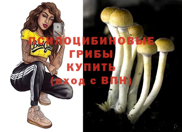 меф Абинск
